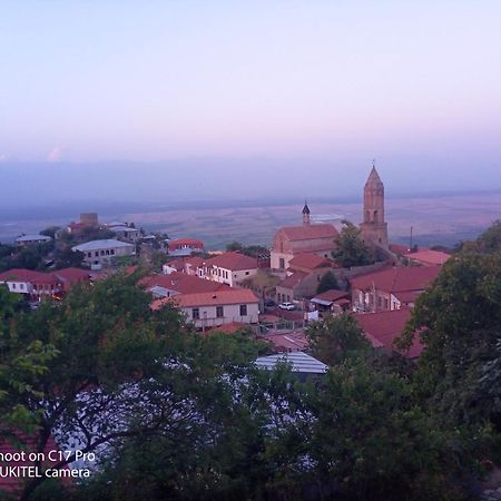 Vigor Hotel Sighnaghi Bagian luar foto