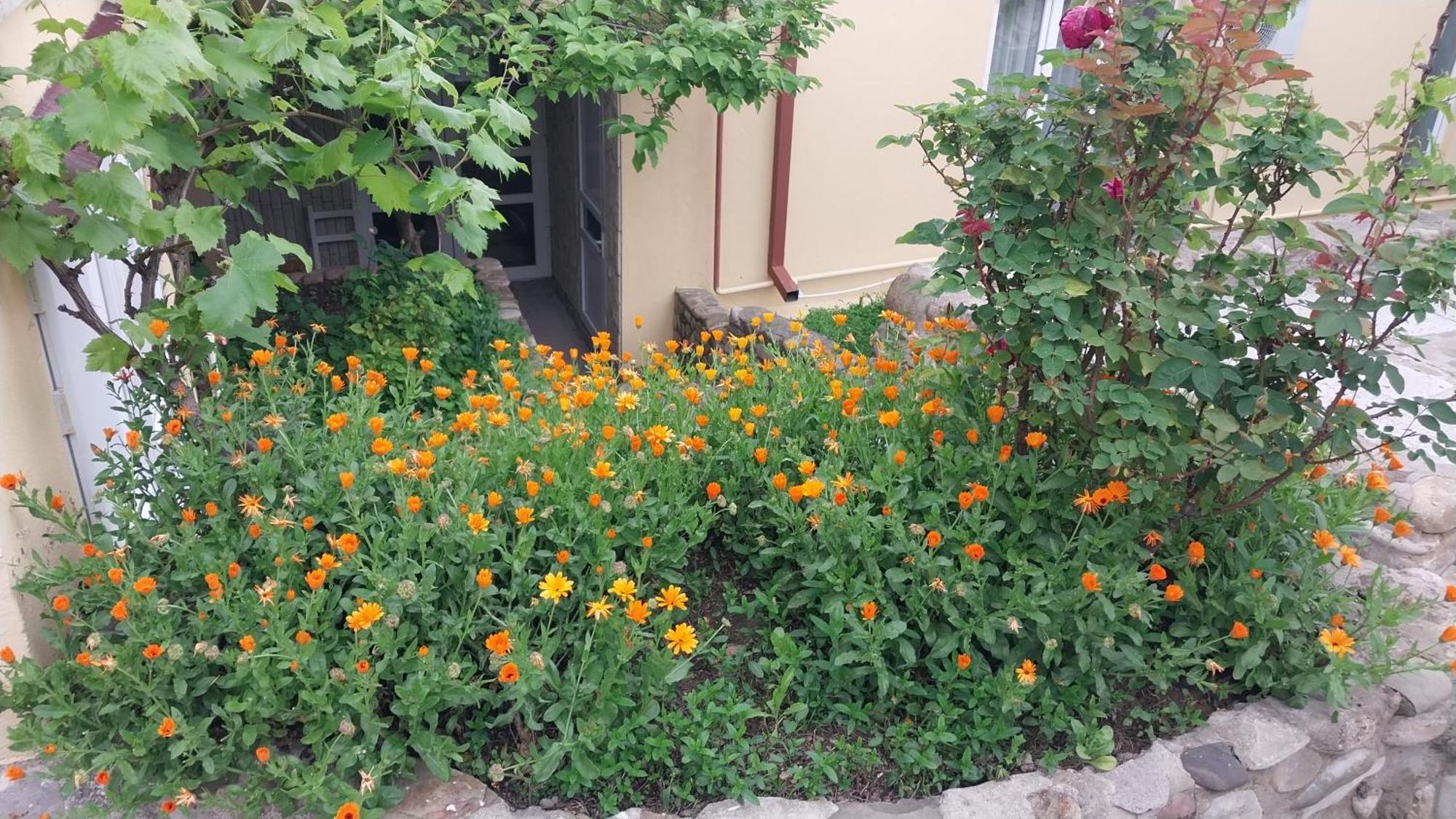 Vigor Hotel Sighnaghi Bagian luar foto