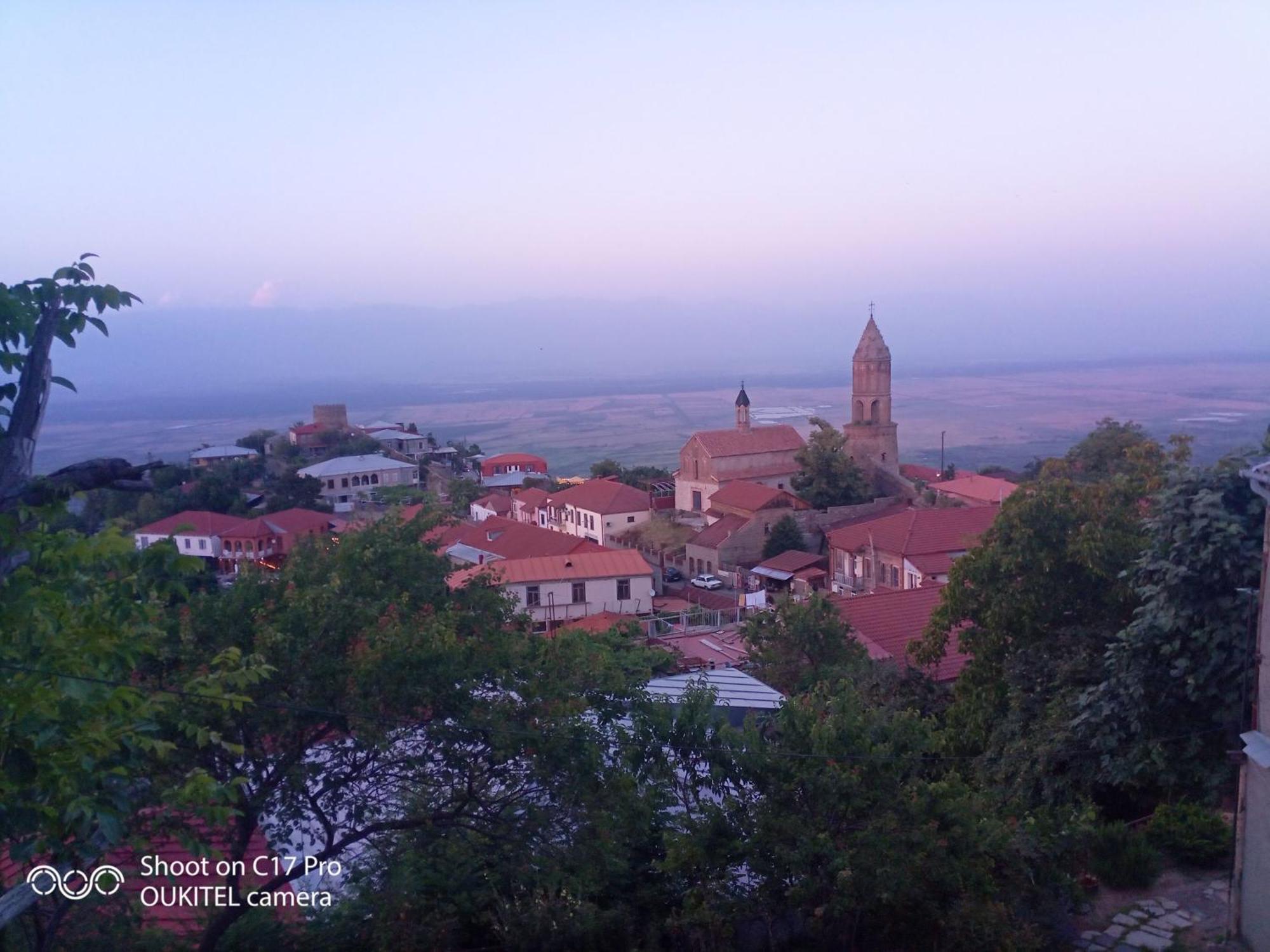 Vigor Hotel Sighnaghi Bagian luar foto