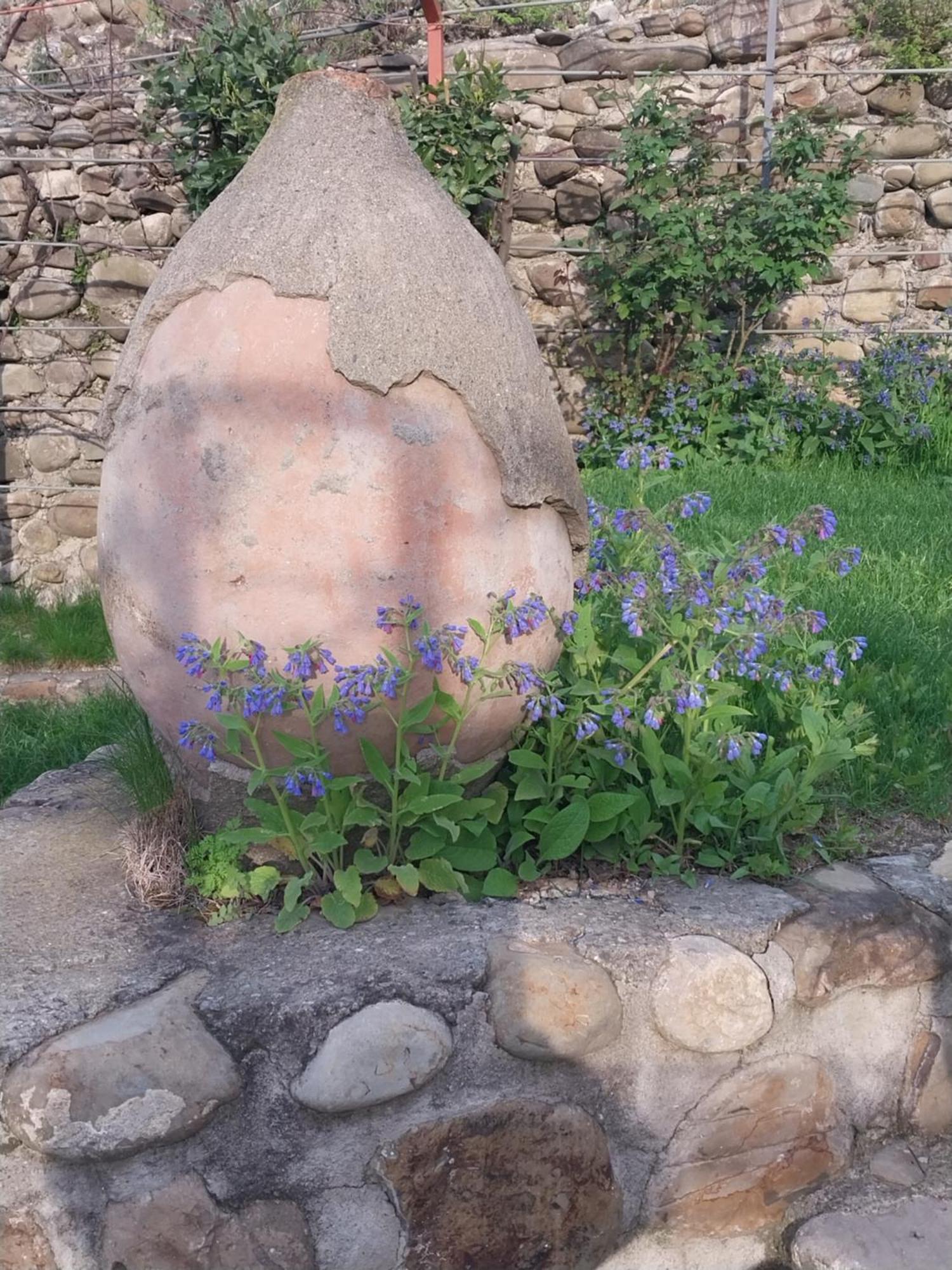 Vigor Hotel Sighnaghi Bagian luar foto