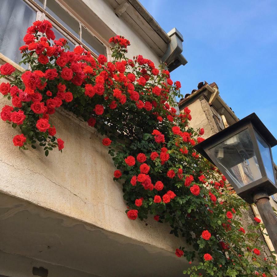 Vigor Hotel Sighnaghi Bagian luar foto