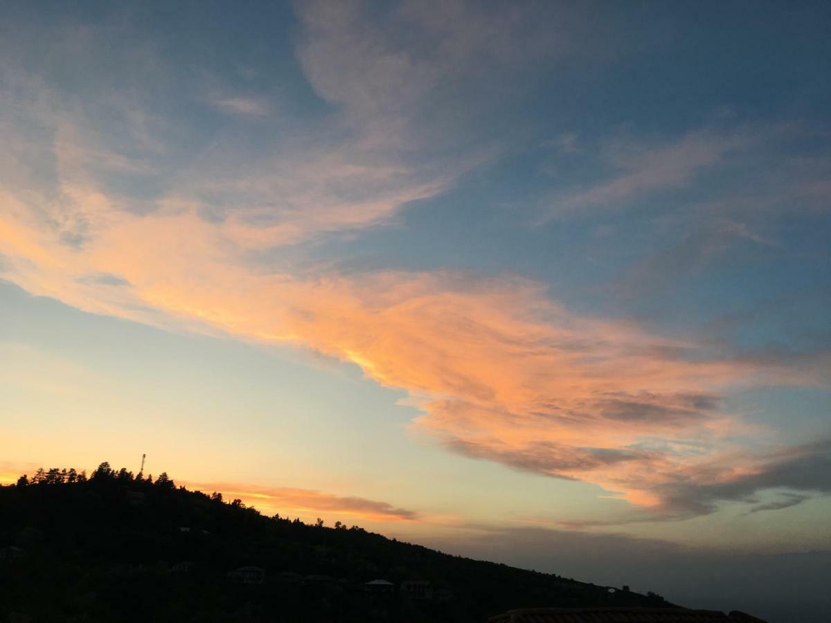 Vigor Hotel Sighnaghi Bagian luar foto